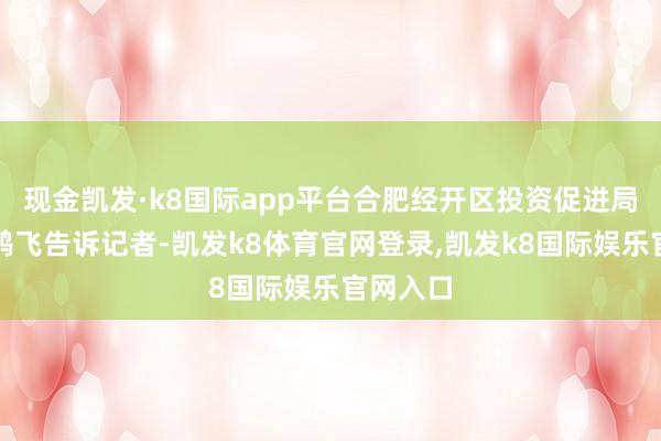 现金凯发·k8国际app平台合肥经开区投资促进局局长孙鸿飞告诉记者-凯发k8体育官网登录,凯发k8国际娱乐官网入口